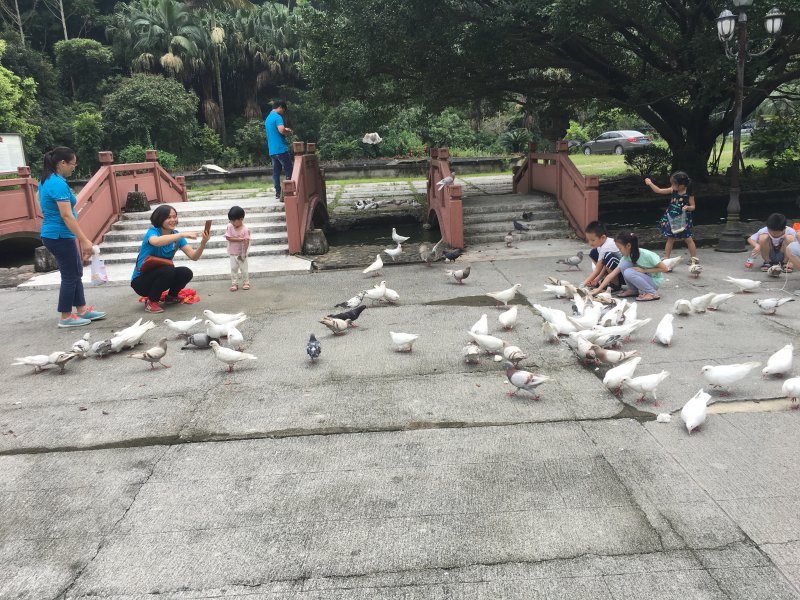 新澳2024最新饮料大全