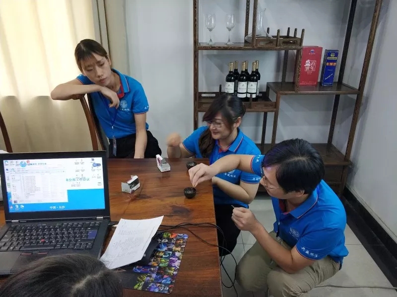新澳2024最新饮料大全
