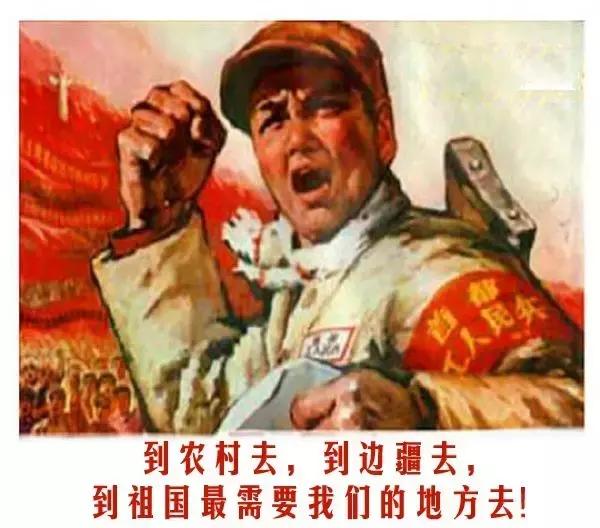 新澳2024最新饮料大全