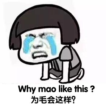 新澳2024最新饮料大全