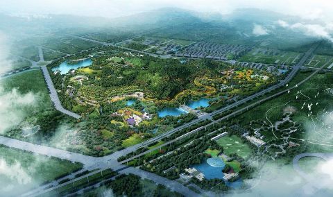 新澳2024最新饮料大全