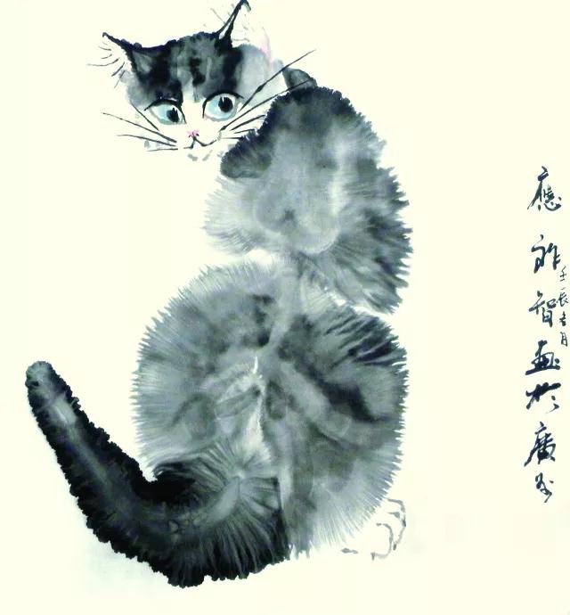 新澳2024最新饮料大全